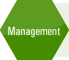 management